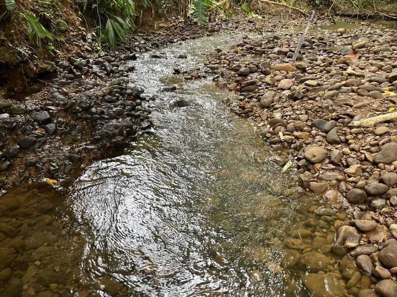 Land For Sale in Cahuita, photo 2