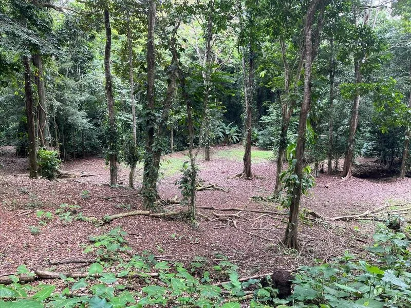 Land For Sale in Cahuita, photo 11