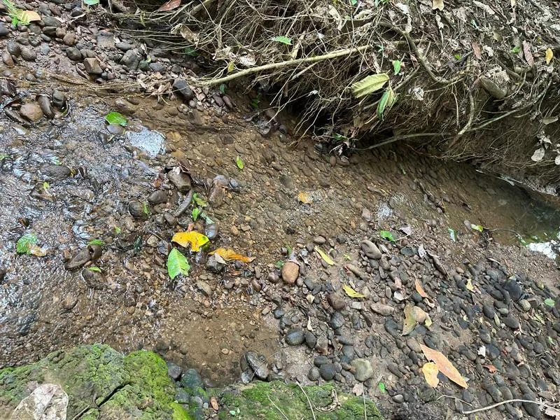 Land For Sale in Cahuita, photo 3