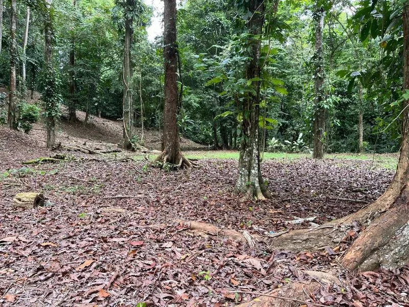 Land For Sale in Cahuita, photo 4