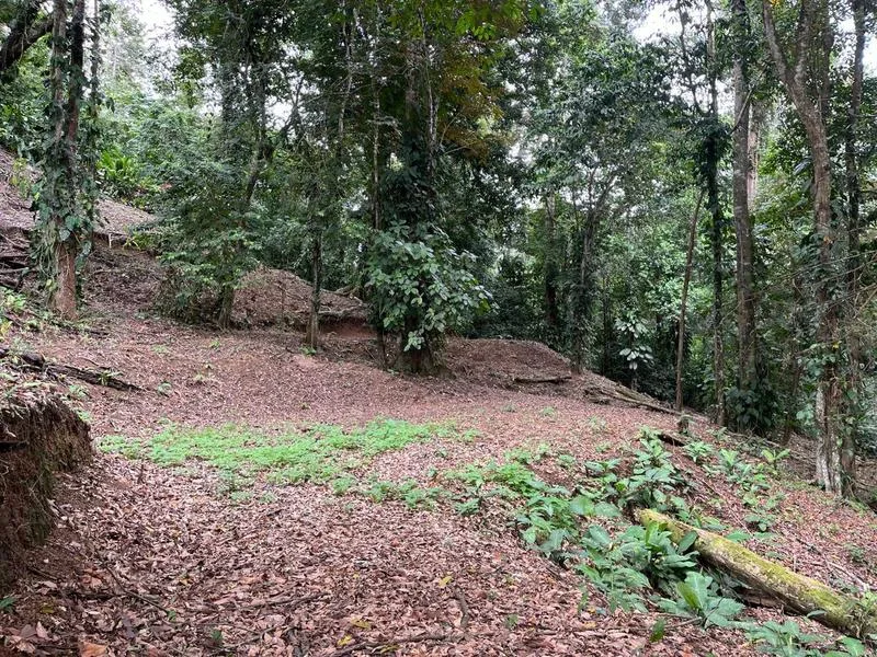 Land For Sale in Cahuita, photo 5