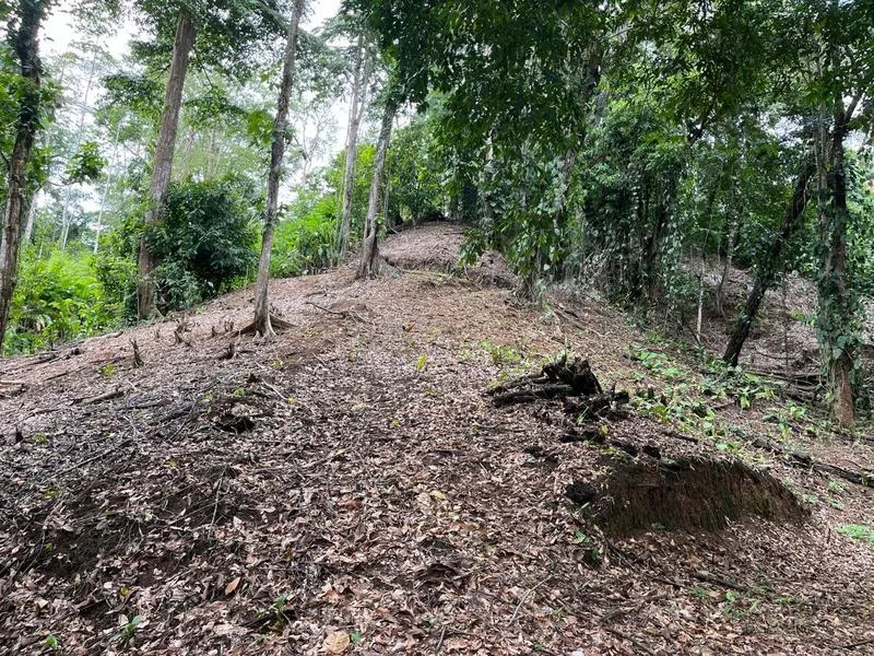 Land For Sale in Cahuita, photo 6