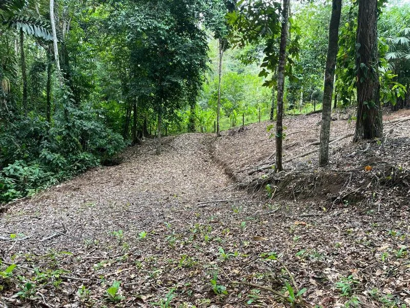 Land For Sale in Cahuita, photo 8
