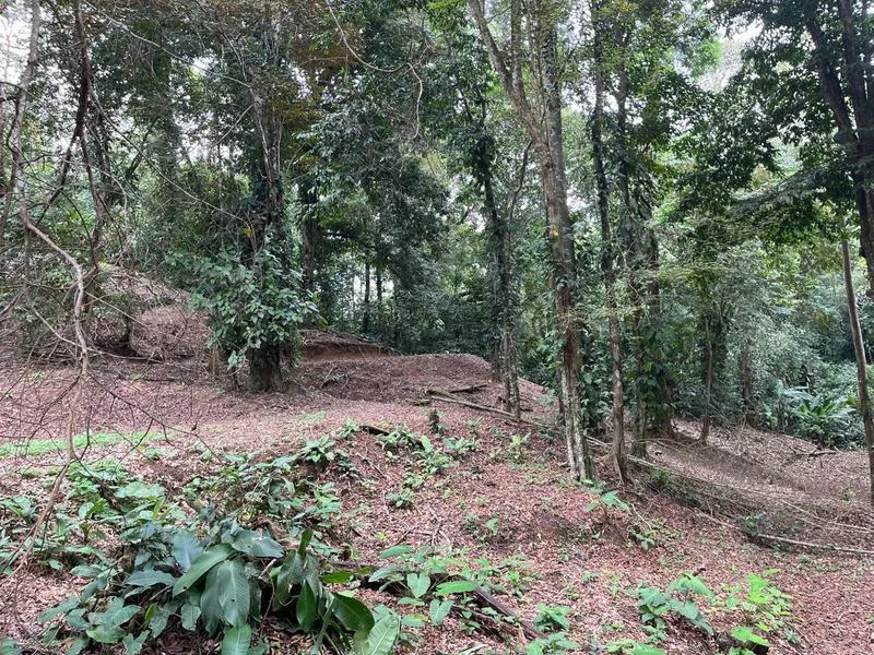Land For Sale in Cahuita, photo 9