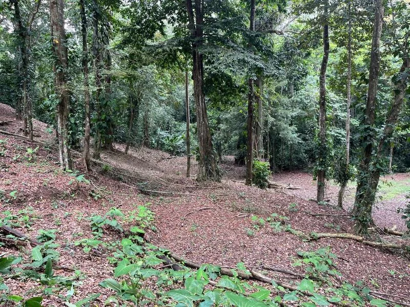 Land For Sale in Cahuita, photo 10