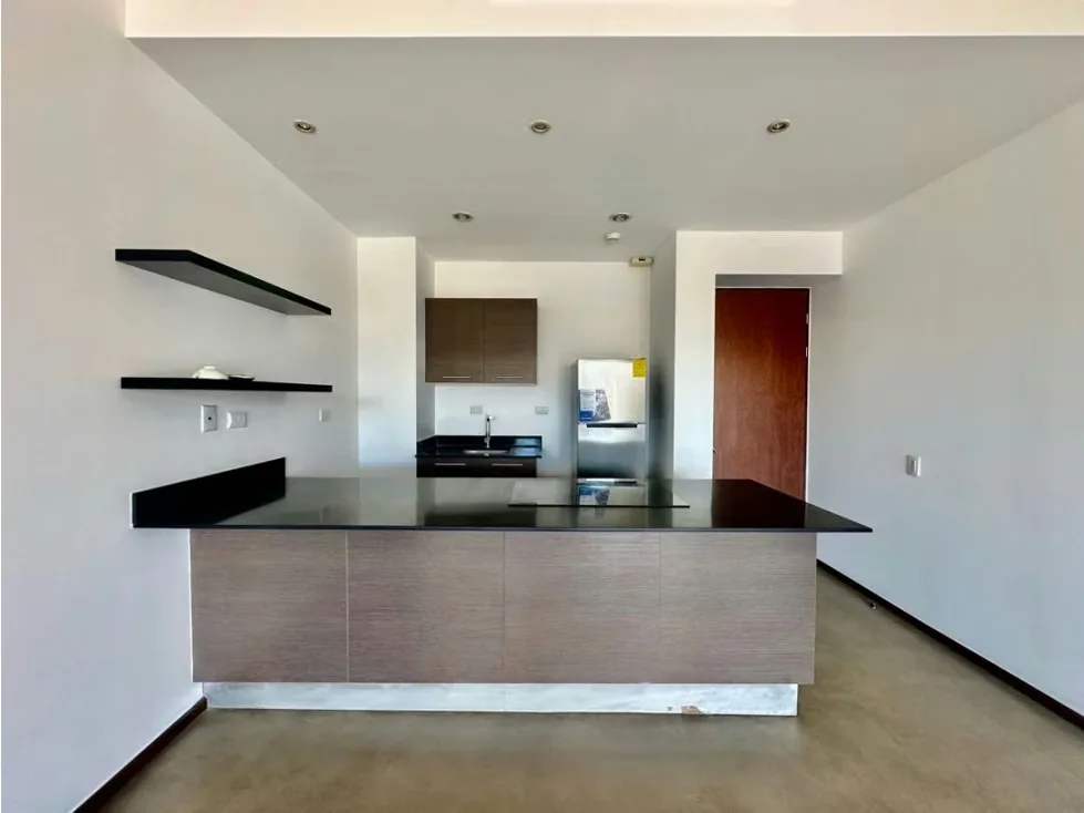 Venta de Espacioso Apartamento en Brasil de Santa Ana, photo 4