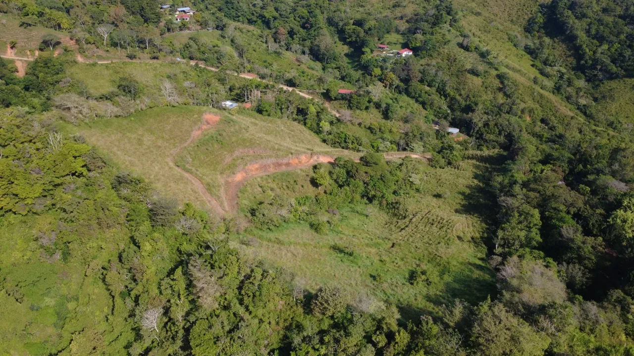 Stunning Farm For Sale In Perez Zeledon With High Development Potential, photo 6