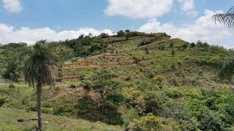 Venta de Lote en Esparza, San José (dj 23-1838DJ ) - Venta en Moravia, photo 13
