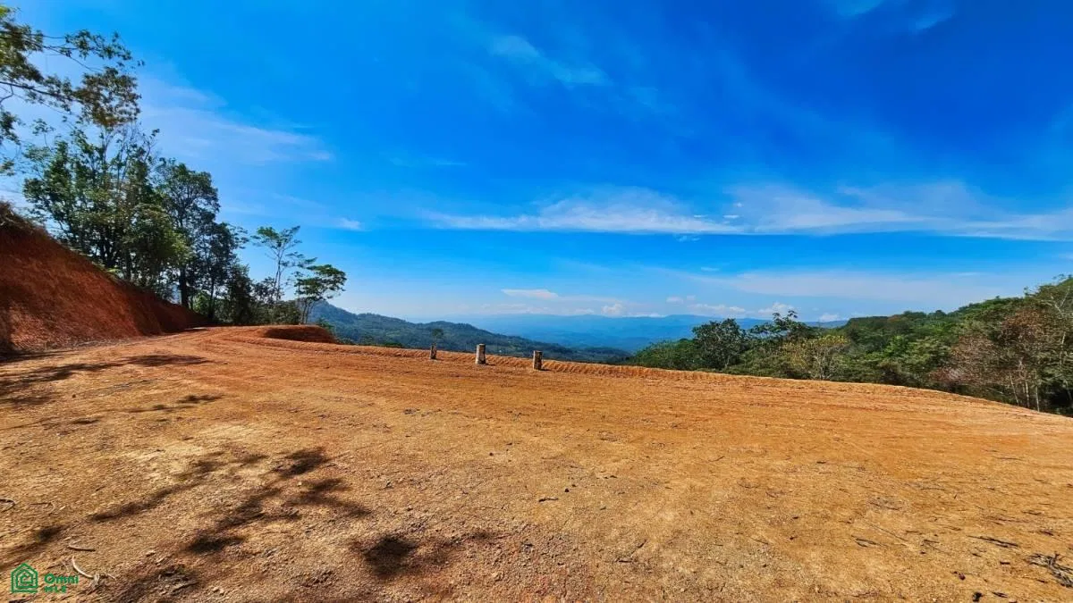 Finca 42 acres