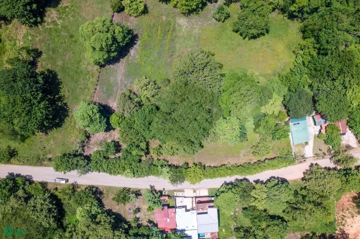 Lote Linderos ~ Compra Individual o en Paquete