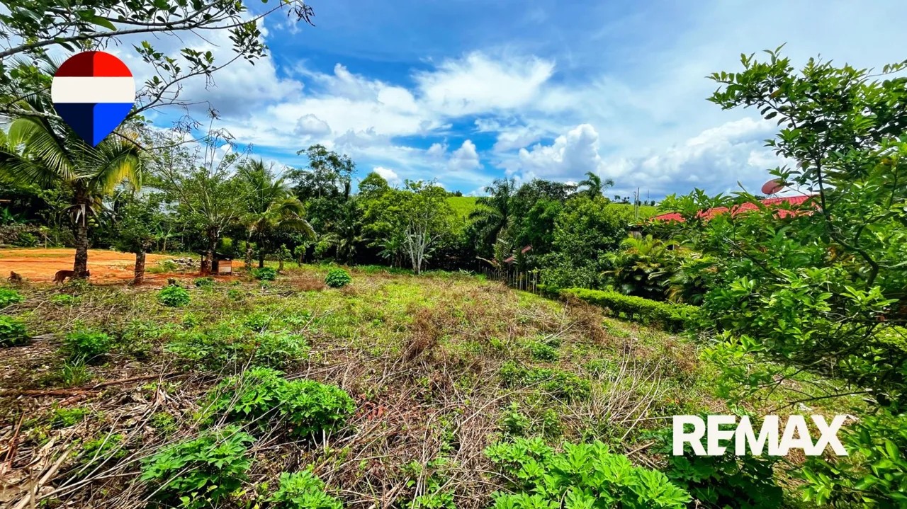 Land for Sale in El Pilar de Cajón, Pérez Zeledón – 1,084 m² Fully Flat Lot, photo 6