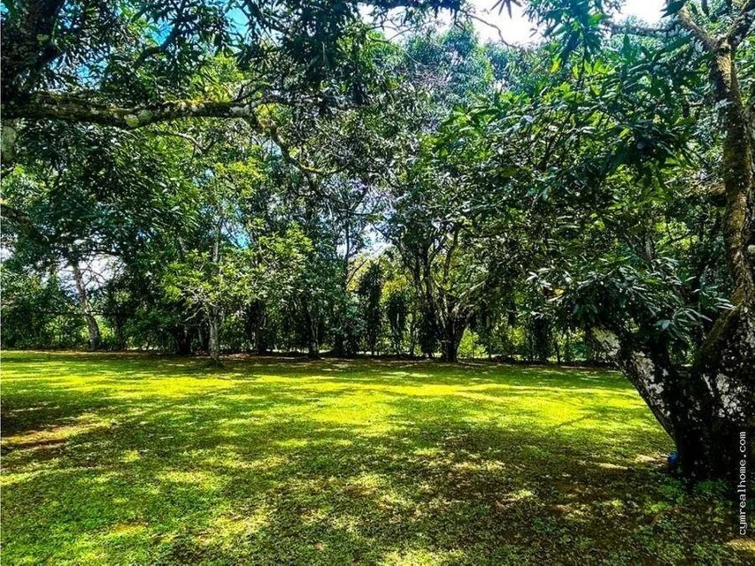 QUINTA EN VENTA EN TURRUBARES - Venta en Turrubares, photo 16