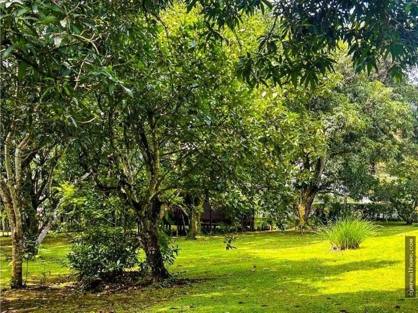 QUINTA EN VENTA EN TURRUBARES - Venta en Turrubares, photo 7