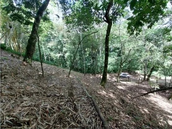 Home Construction Site For Sale in Jacó