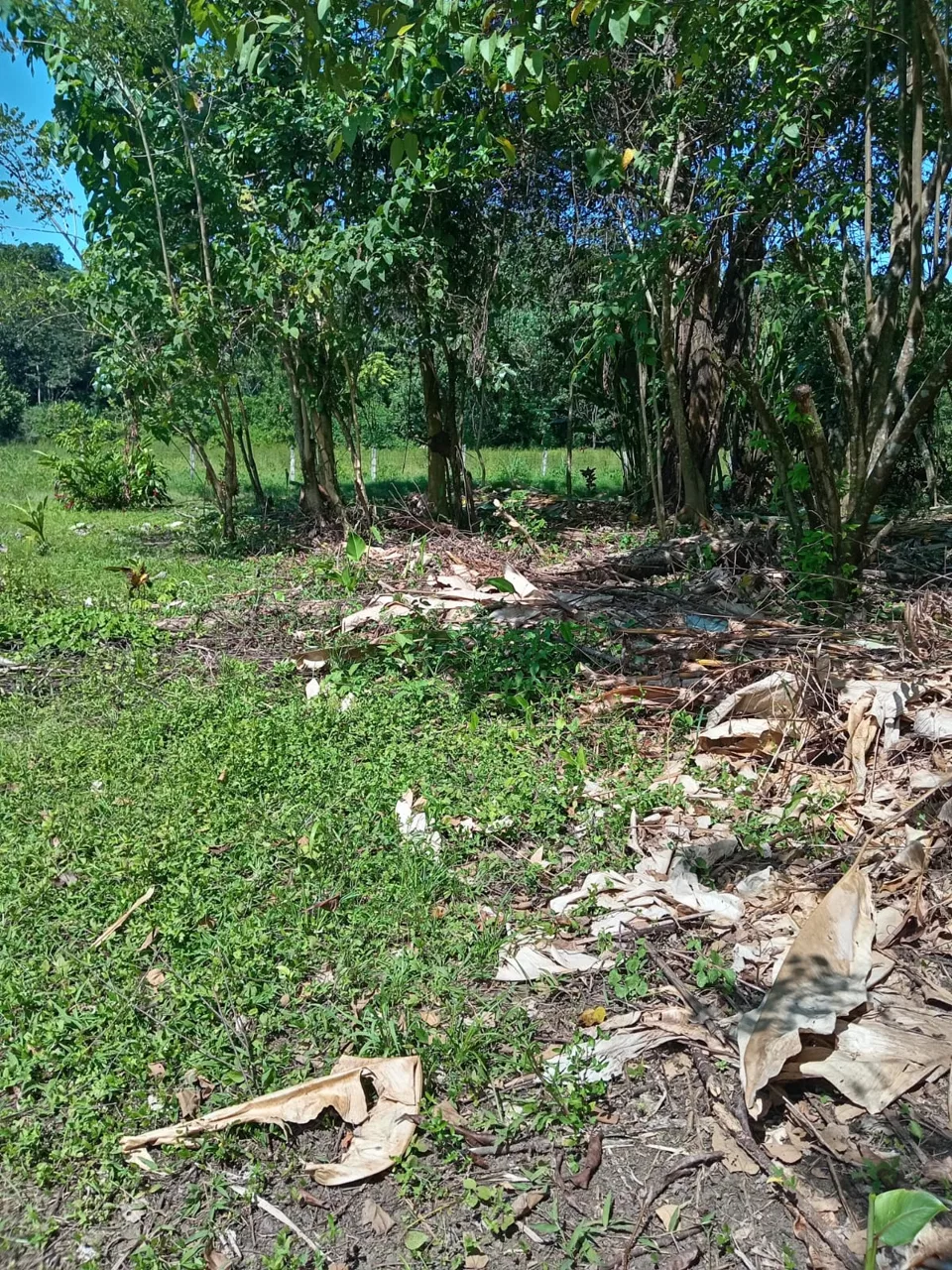 #2 Lot in the Coastal Zone, Steps Away from the Future Airport - REMAX Jungle Properties | Pavones Golfito Real Estate