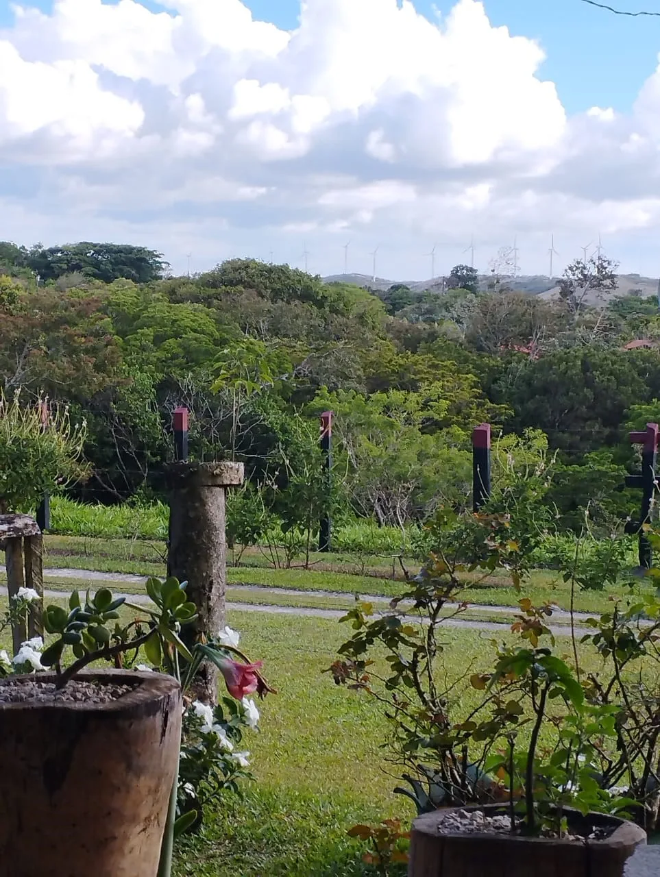 La Pradera, photo 2