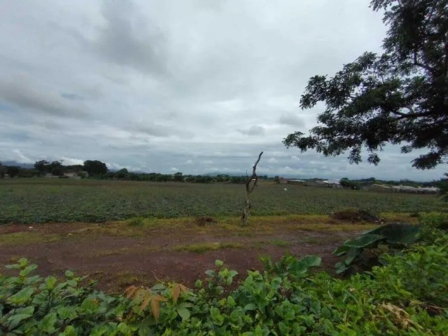 Venta de Lote en La Guácima, Alajuela. - Venta en Guácima