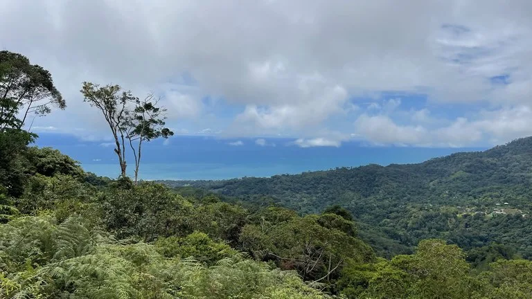 Los Nenes: Mountain Home Construction Site For Sale in Uvita, photo 12