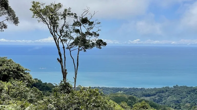 Los Nenes: Mountain Home Construction Site For Sale in Uvita, photo 6