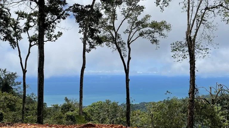 Los Nenes: Mountain Home Construction Site For Sale in Uvita, photo 8