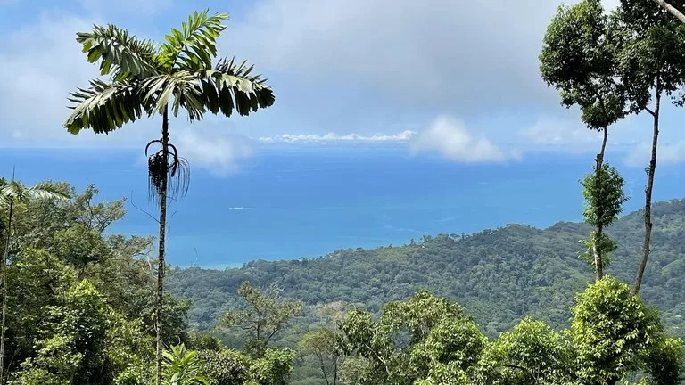 Los Nenes: Mountain Home Construction Site For Sale in Uvita, photo 10