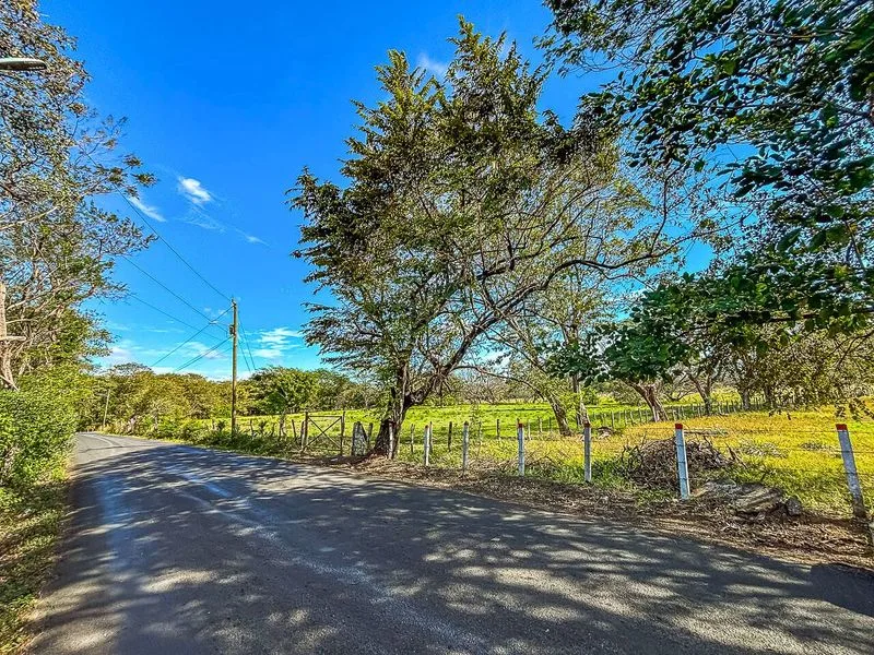 Land For Sale in Portegolpe, photo 2