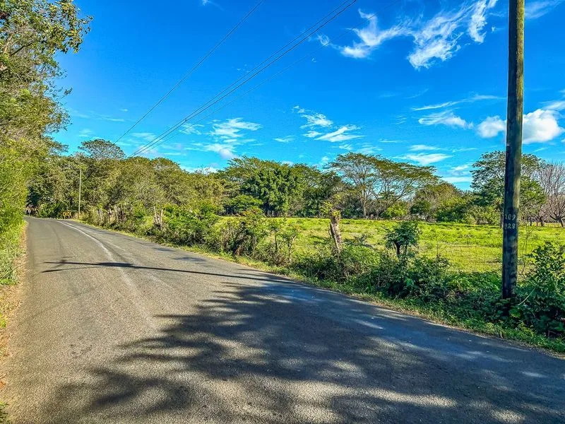 Land For Sale in Portegolpe, photo 3