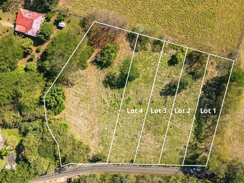Land For Sale in Portegolpe, photo 4