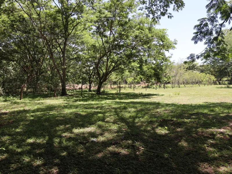 Land For Sale in Sardinal