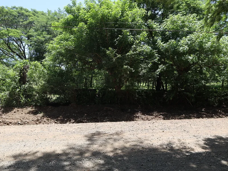 Land For Sale in Sardinal, photo 2