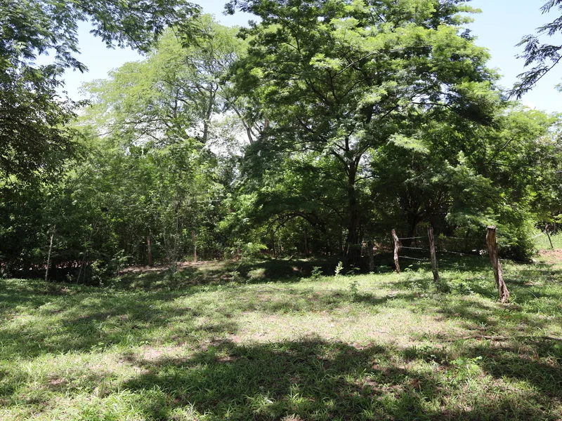 Land For Sale in Sardinal, photo 3