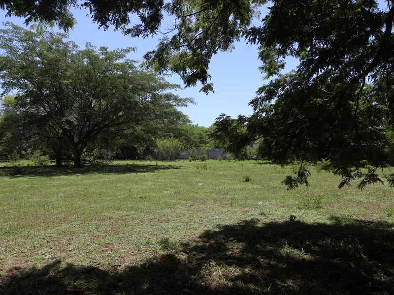 Land For Sale in Sardinal, photo 4