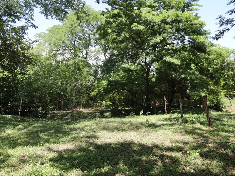Land For Sale in Sardinal, photo 6