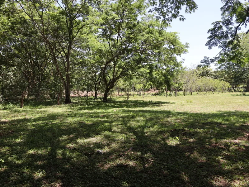 Land For Sale in Sardinal, photo 7