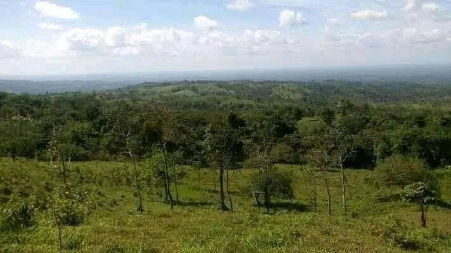Venta de Lote en la Fortuna, San Carlos. - Venta en San Carlos