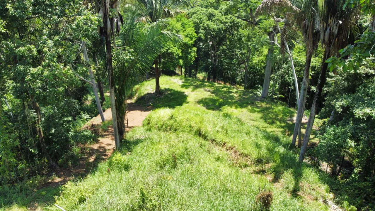 Ocean View Development Property | 10 Hectares | 5 Minutes to the Beach | Nicoya Peninsula, photo 11