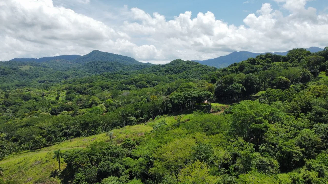 Ocean View Development Property | 10 Hectares | 5 Minutes to the Beach | Nicoya Peninsula, photo 13