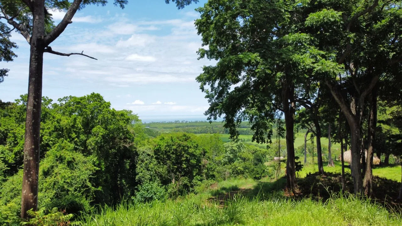 Ocean View Development Property | 10 Hectares | 5 Minutes to the Beach | Nicoya Peninsula, photo 7