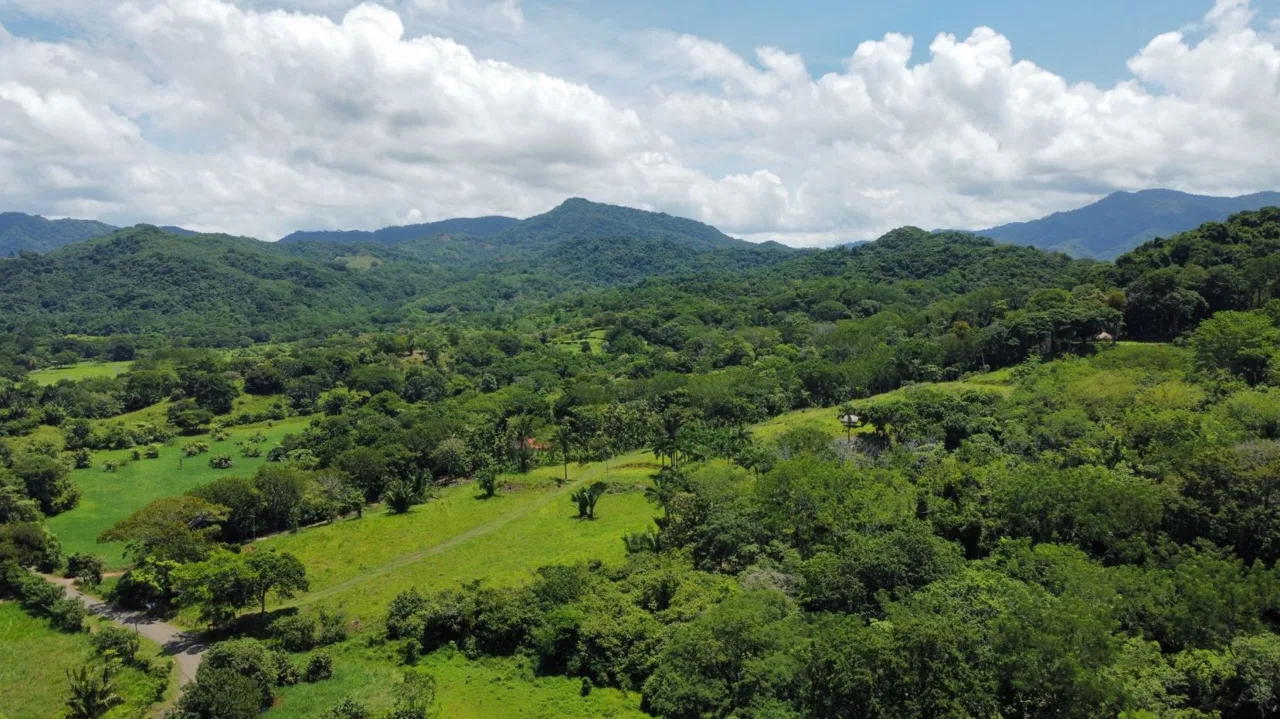 Ocean View Development Property | 10 Hectares | 5 Minutes to the Beach | Nicoya Peninsula, photo 9