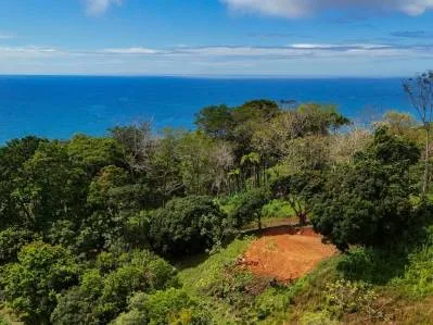 Expansive Ocean View Lot for Sale in Ballena Views, Cinco Ventanas, Ojochal, photo 2