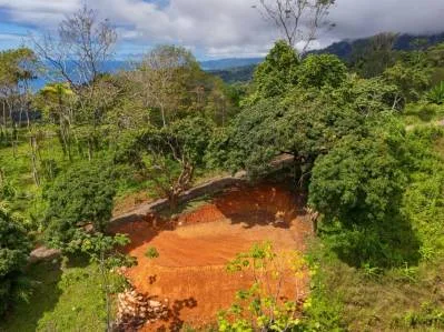Expansive Ocean View Lot for Sale in Ballena Views, Cinco Ventanas, Ojochal, photo 3