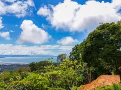 Expansive Ocean View Lot for Sale in Ballena Views, Cinco Ventanas, Ojochal, photo 5
