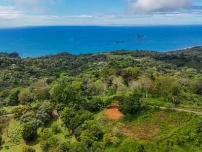 Expansive Ocean View Lot for Sale in Ballena Views, Cinco Ventanas, Ojochal, photo 6