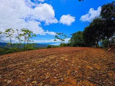 Expansive Ocean View Lot for Sale in Ballena Views, Cinco Ventanas, Ojochal, photo 8
