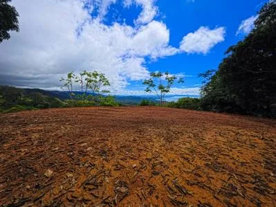 Expansive Ocean View Lot for Sale in Ballena Views, Cinco Ventanas, Ojochal, photo 9