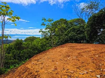 Expansive Ocean View Lot for Sale in Ballena Views, Cinco Ventanas, Ojochal, photo 10