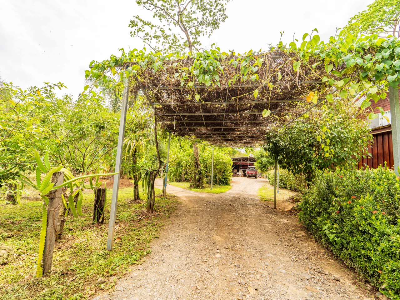 Organic Permaculture Farm and 2BR Single Family Home, photo 7