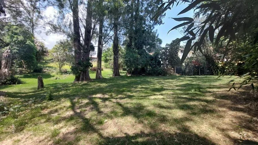 Lote de 1.317 m2 en residencial Aves del Paraiso RAH 232048 - Venta en San Rafael, photo 5