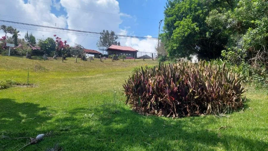 Lote de 1.317 m2 en residencial Aves del Paraiso RAH 232048 - Venta en San Rafael, photo 7