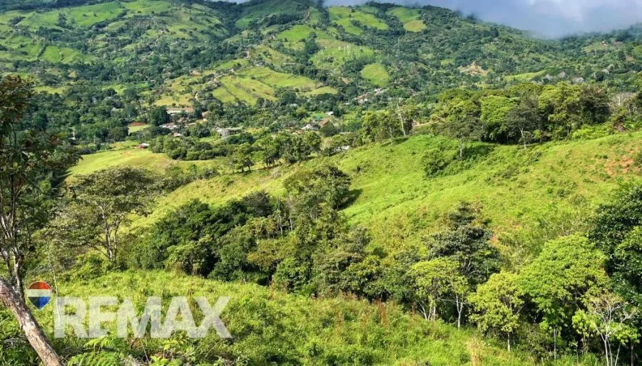 EN VENTA – 9.3 HECTÁREAS EN PLATANARES, PÉREZ ZELEDÓN, COSTA RICA  - Venta en Perez Zeledón, photo 6